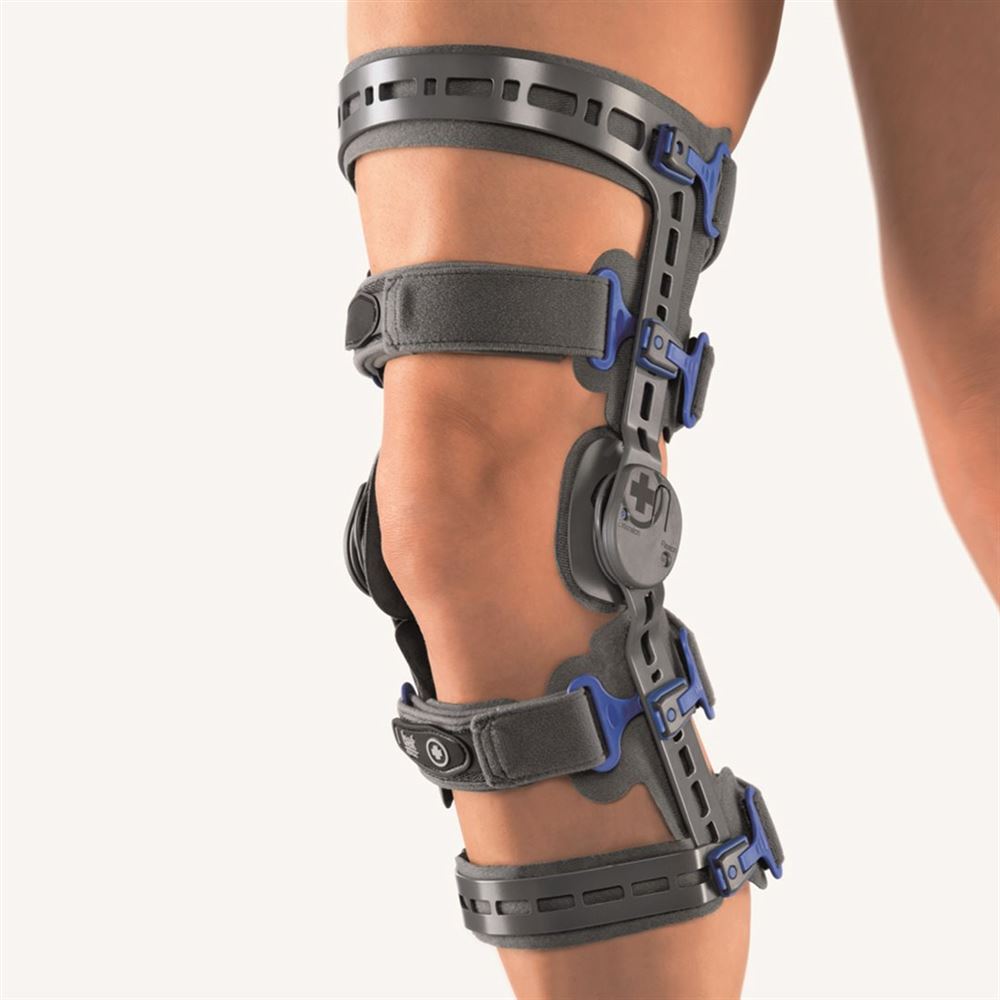 BORT ACL, Hauptbild
