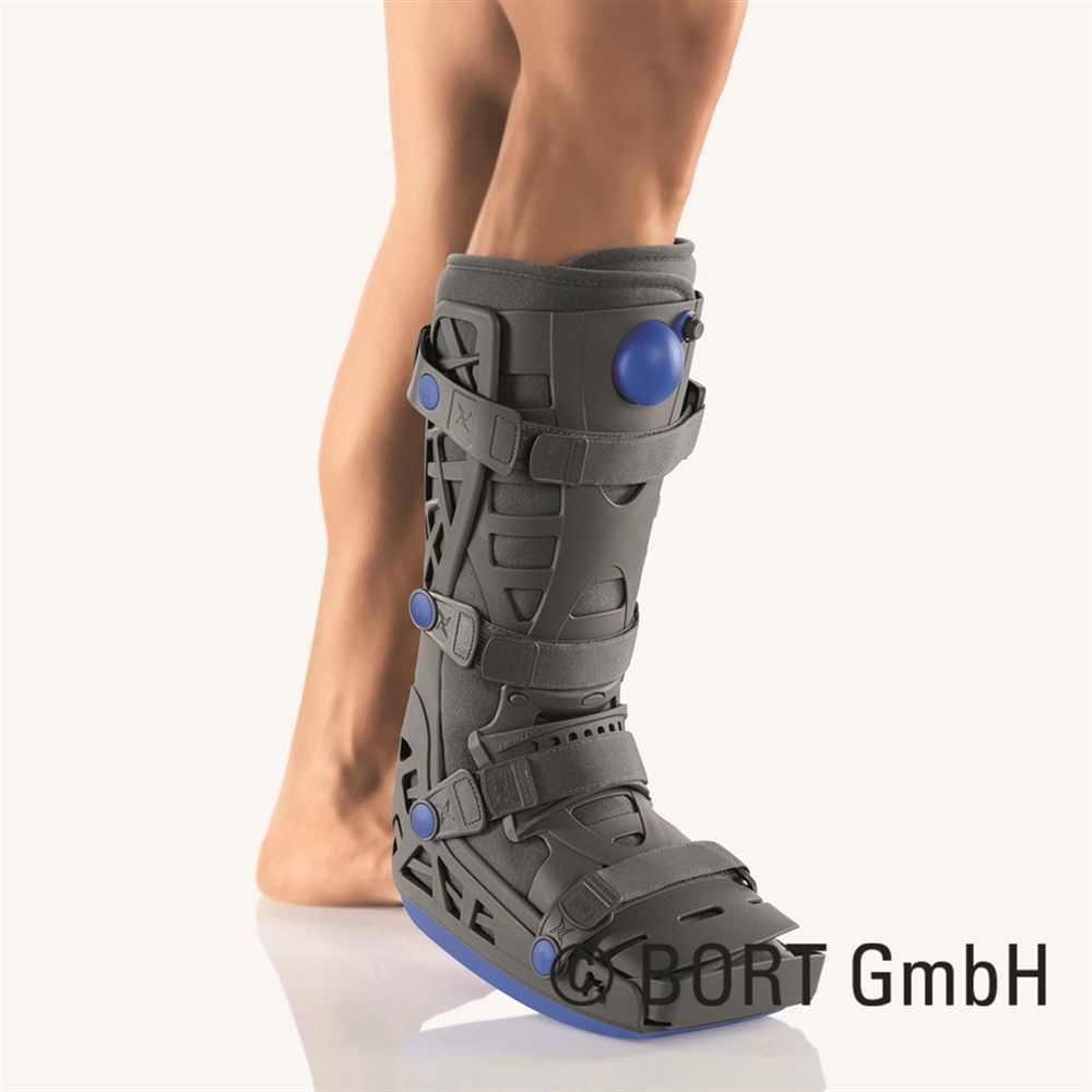 , immagine principale