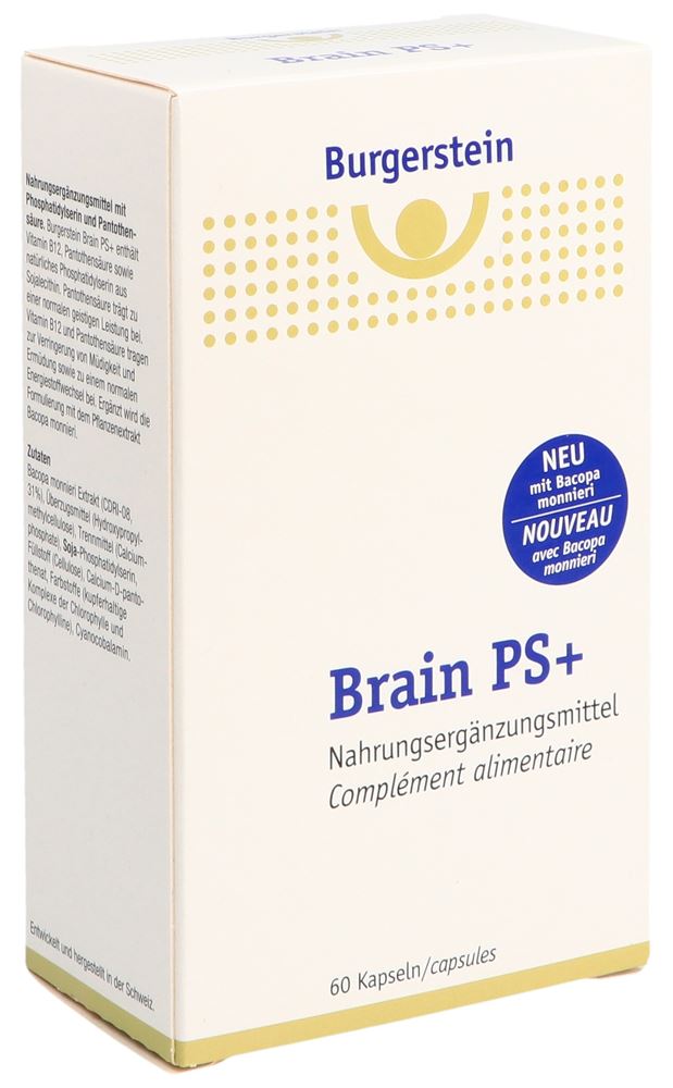 BURGERSTEIN Brain PS+, Hauptbild