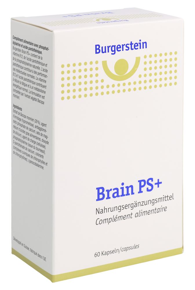 BURGERSTEIN Brain PS+