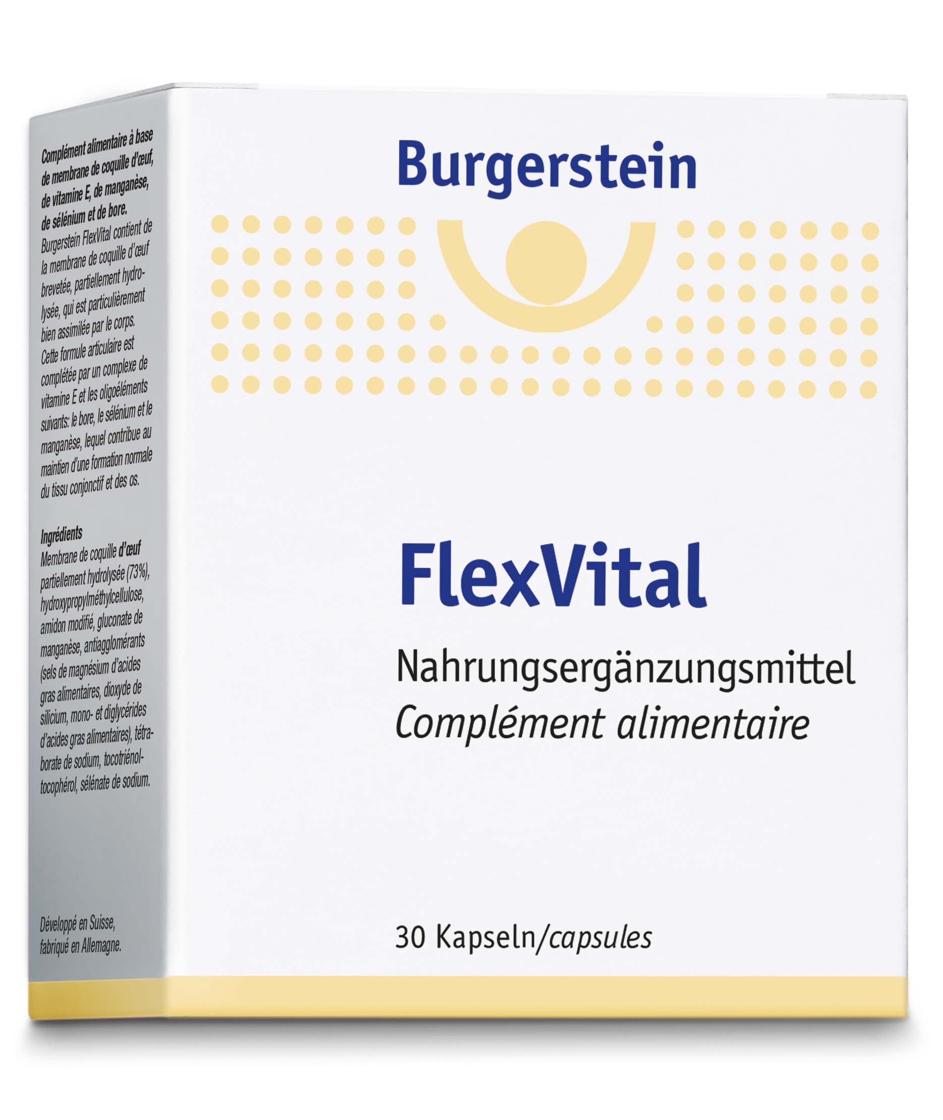 BURGERSTEIN FlexVital, Hauptbild