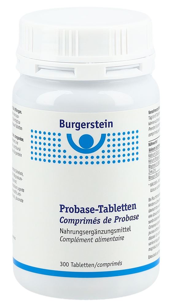 BURGERSTEIN Probase, Hauptbild