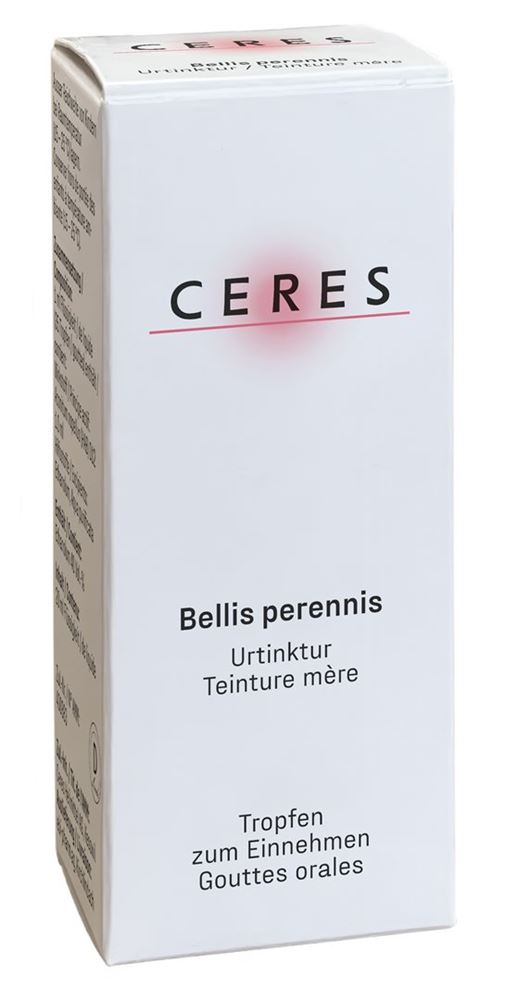 CERES bellis perennis, image principale