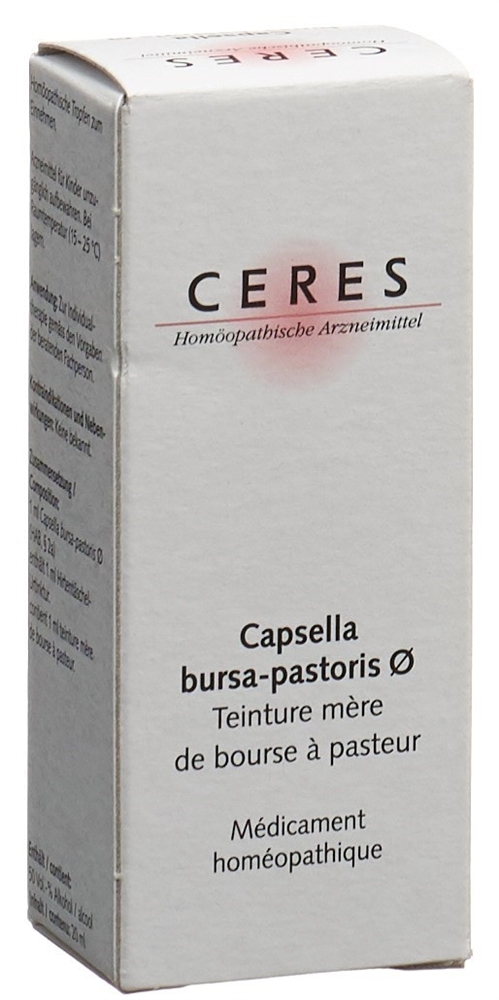 CERES Capsella bursa pastoris, Bild 2 von 2