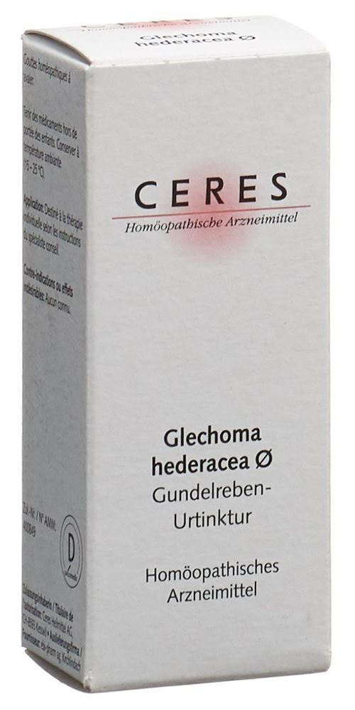 CERES Glechoma hederacea, Hauptbild