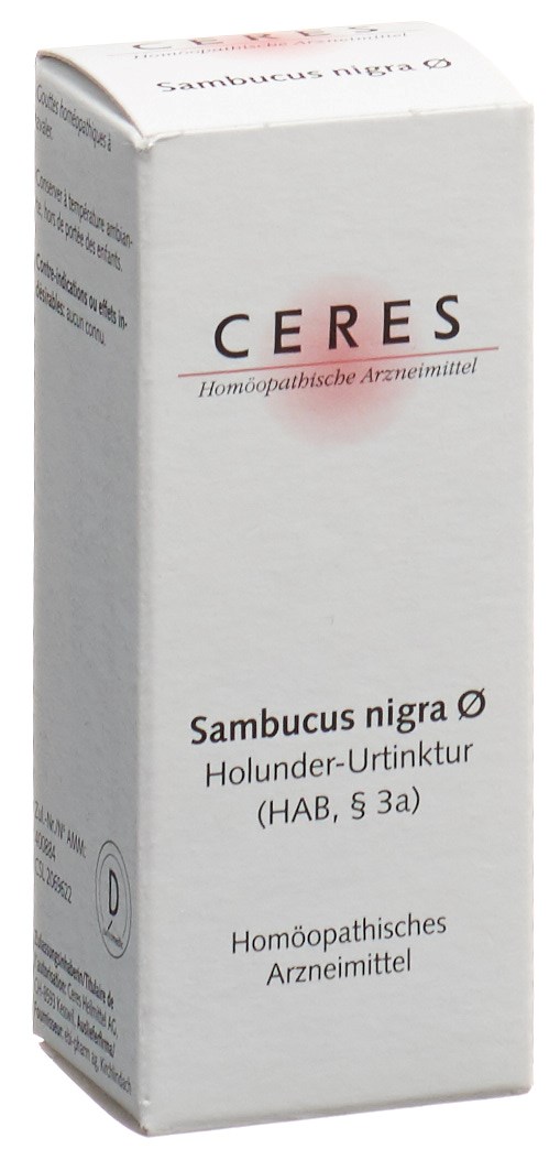 CERES sambucus nigra, image principale