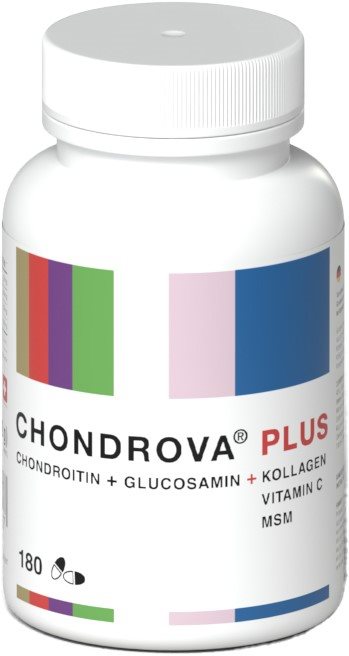 Chondrova Plus, Hauptbild