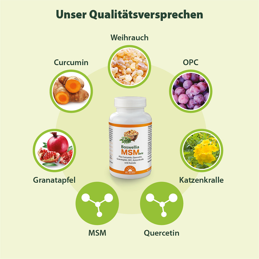 DR. JACOB'S Boswellia MSM forte, Bild 4 von 5