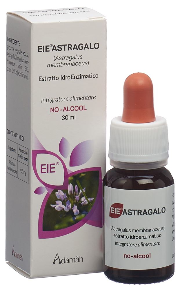 EIE Astragalo, Bild 3 von 5