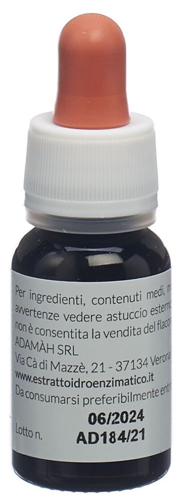 EIE Ribes nero, image 2 sur 5