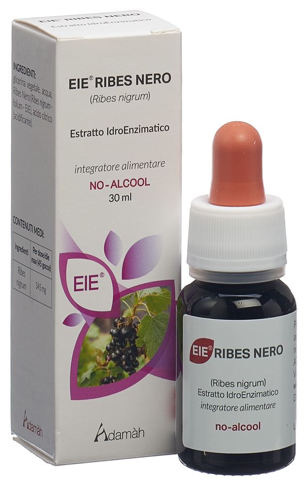 EIE Ribes nero, image 4 sur 5