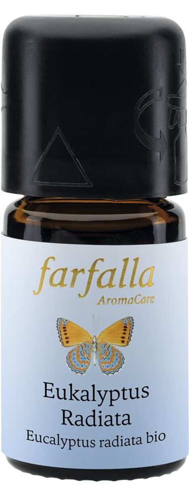 Farfalla Eucalyptus radiata, image principale