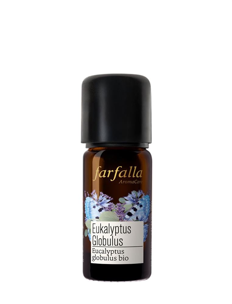 Farfalla Eukalyptus globulus