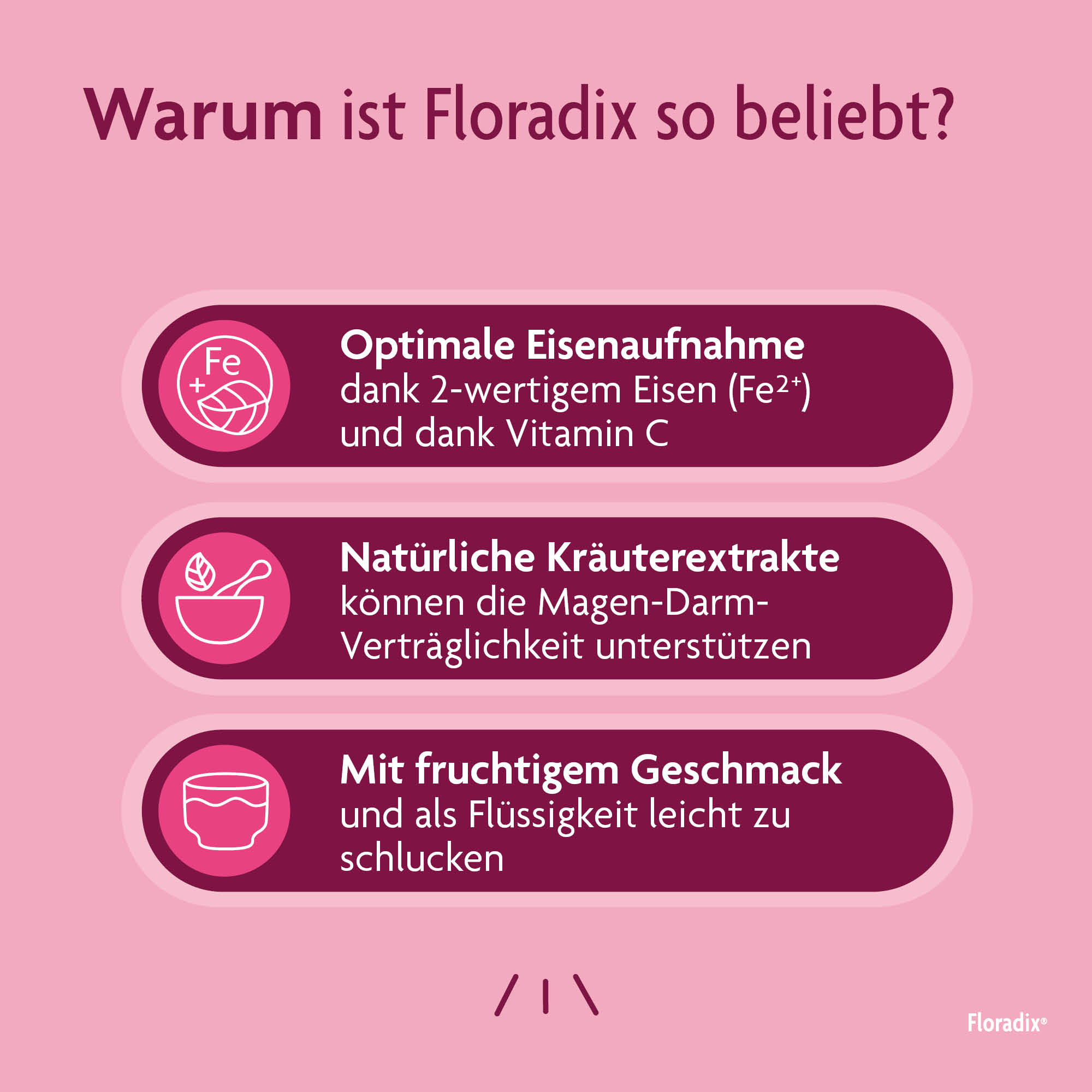 Floradix Eisen + Vitamine, Bild 4 von 6