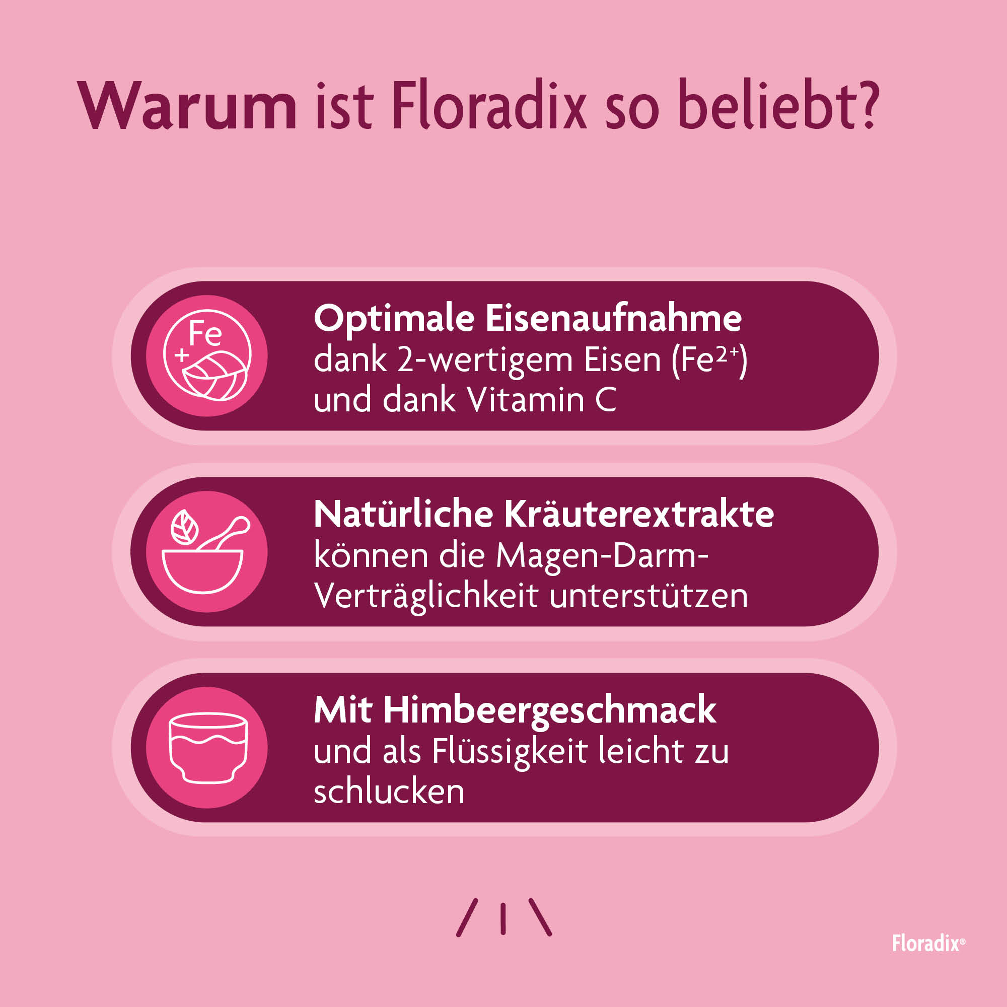 Floradix Eisen + Vitamine für Kinder, Bild 4 von 6