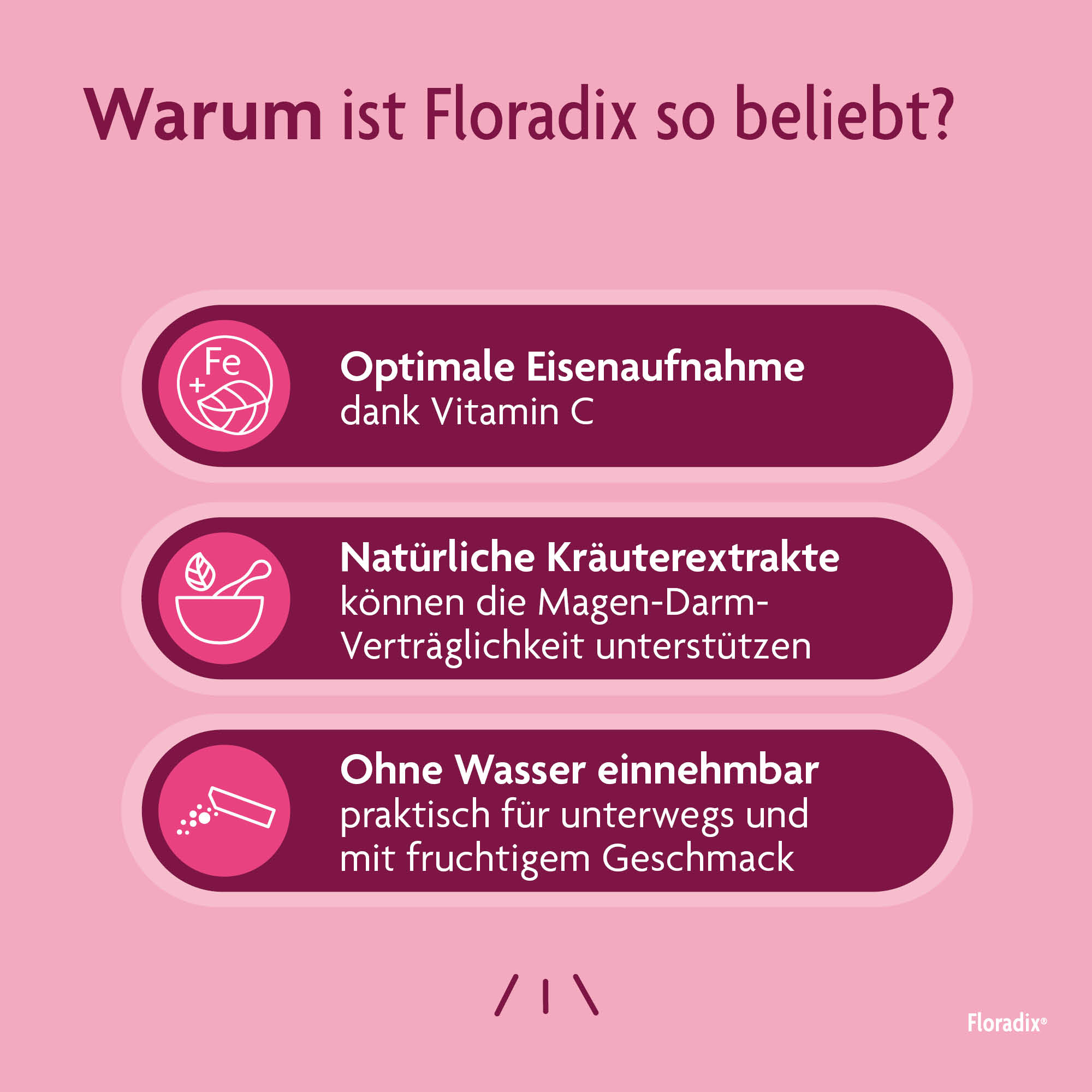 Floradix Eisen + Vitamine Sticks, Bild 4 von 6