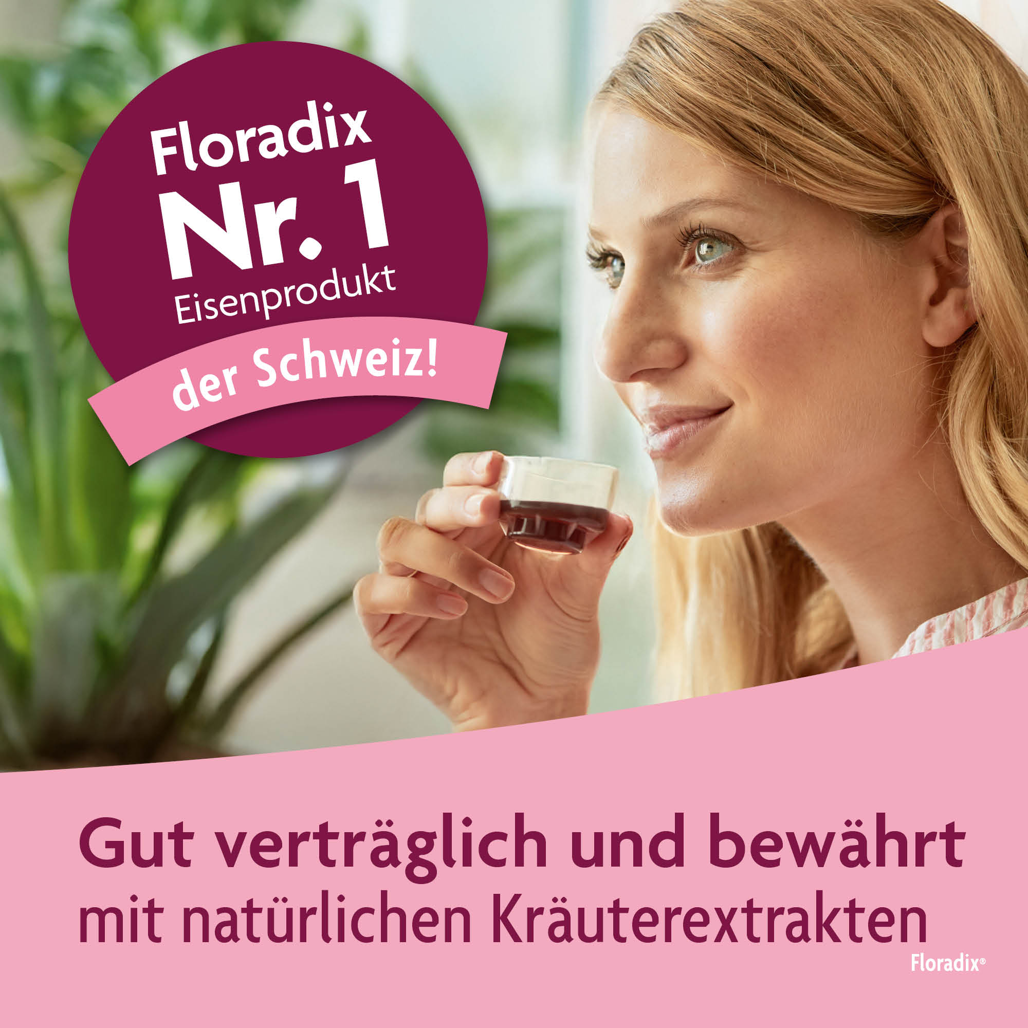 Floradix Fer + vitamines, image 3 sur 5
