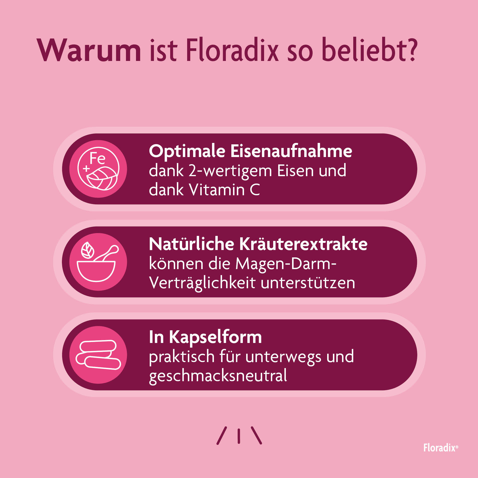 Floradix Fer + vitamines, image 4 sur 5