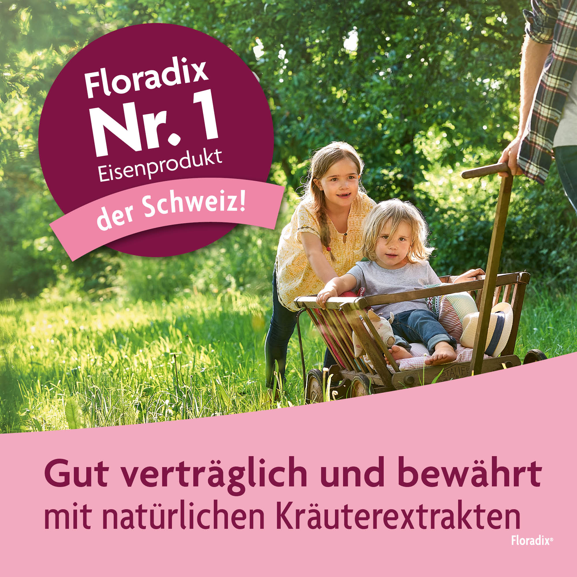 Floradix Fer + vitamines pour enfants, image 3 sur 6
