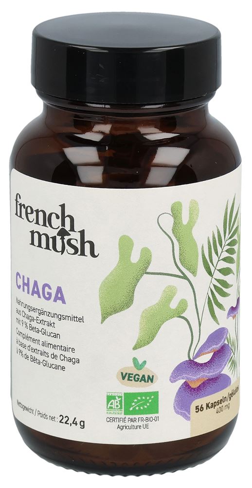 FRENCH MUSH Chaga, Hauptbild