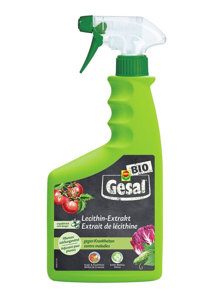 GESAL Lecithin-Extrakt, Hauptbild