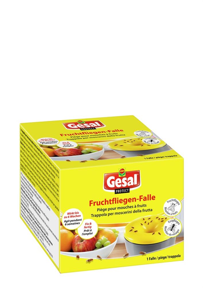 GESAL Fruchtfliegen-Falle