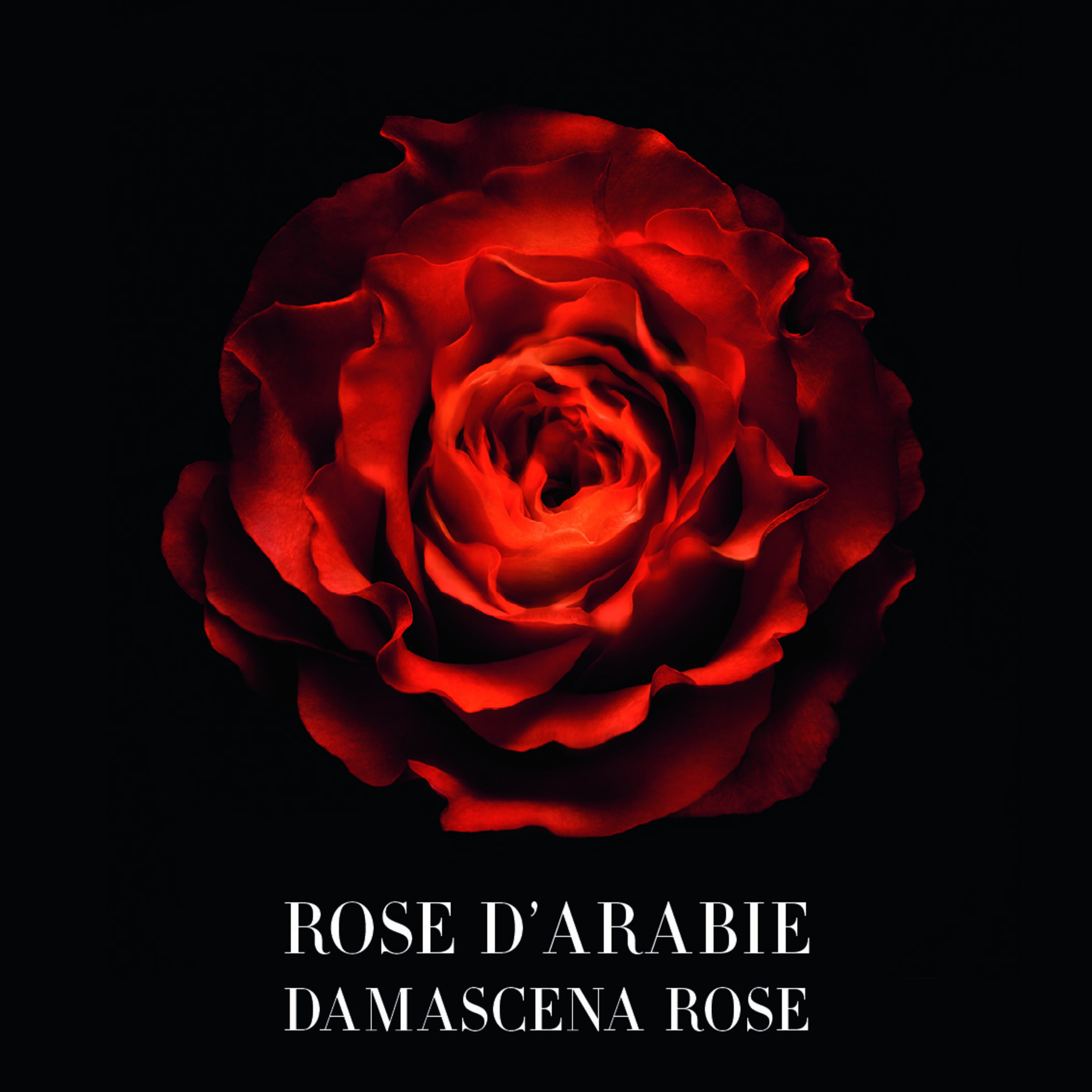 GIORGIO ARMANI Privé Rose D'arabie Eau de Parfum, Bild 4 von 4