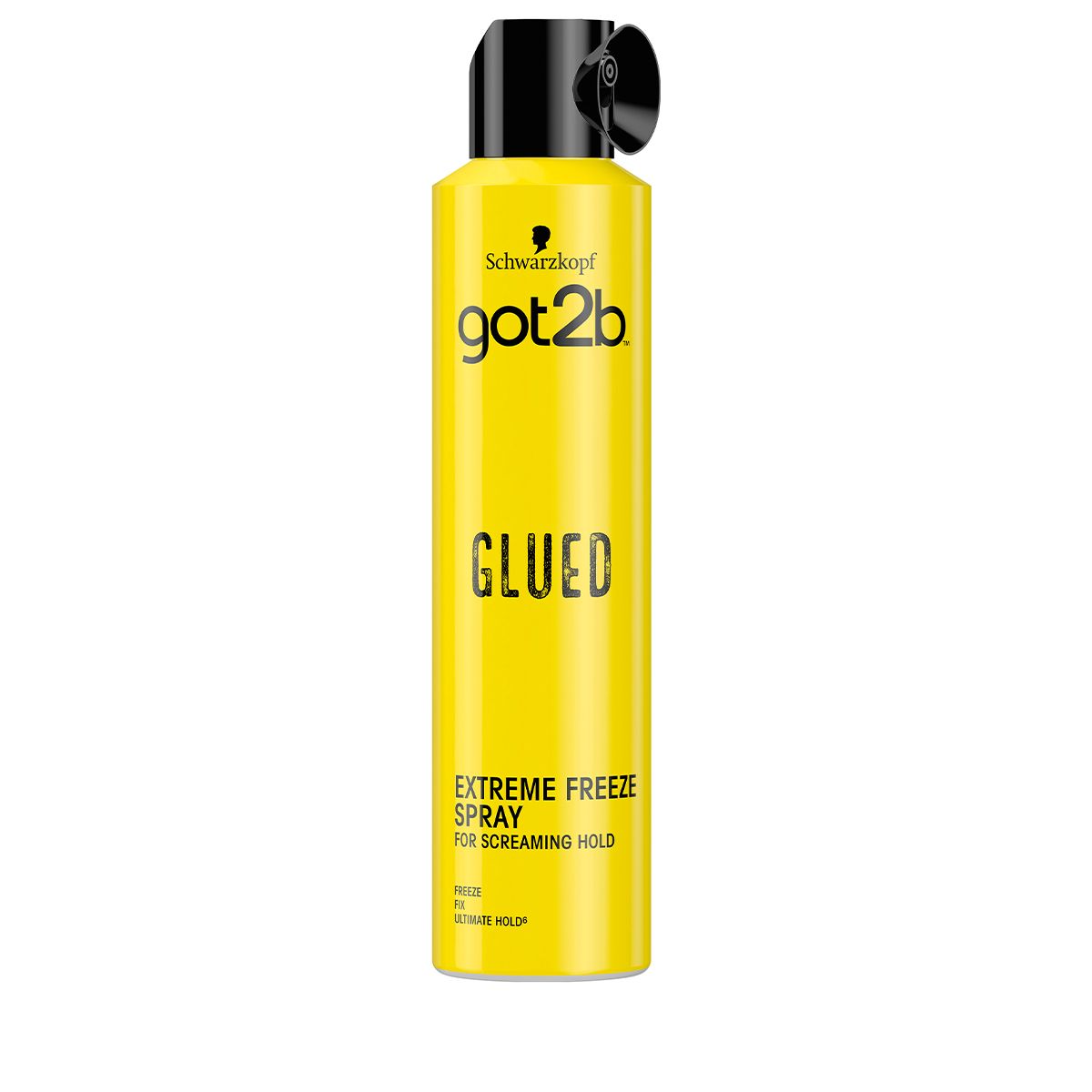 GOT2B Glued Hairspray, Hauptbild