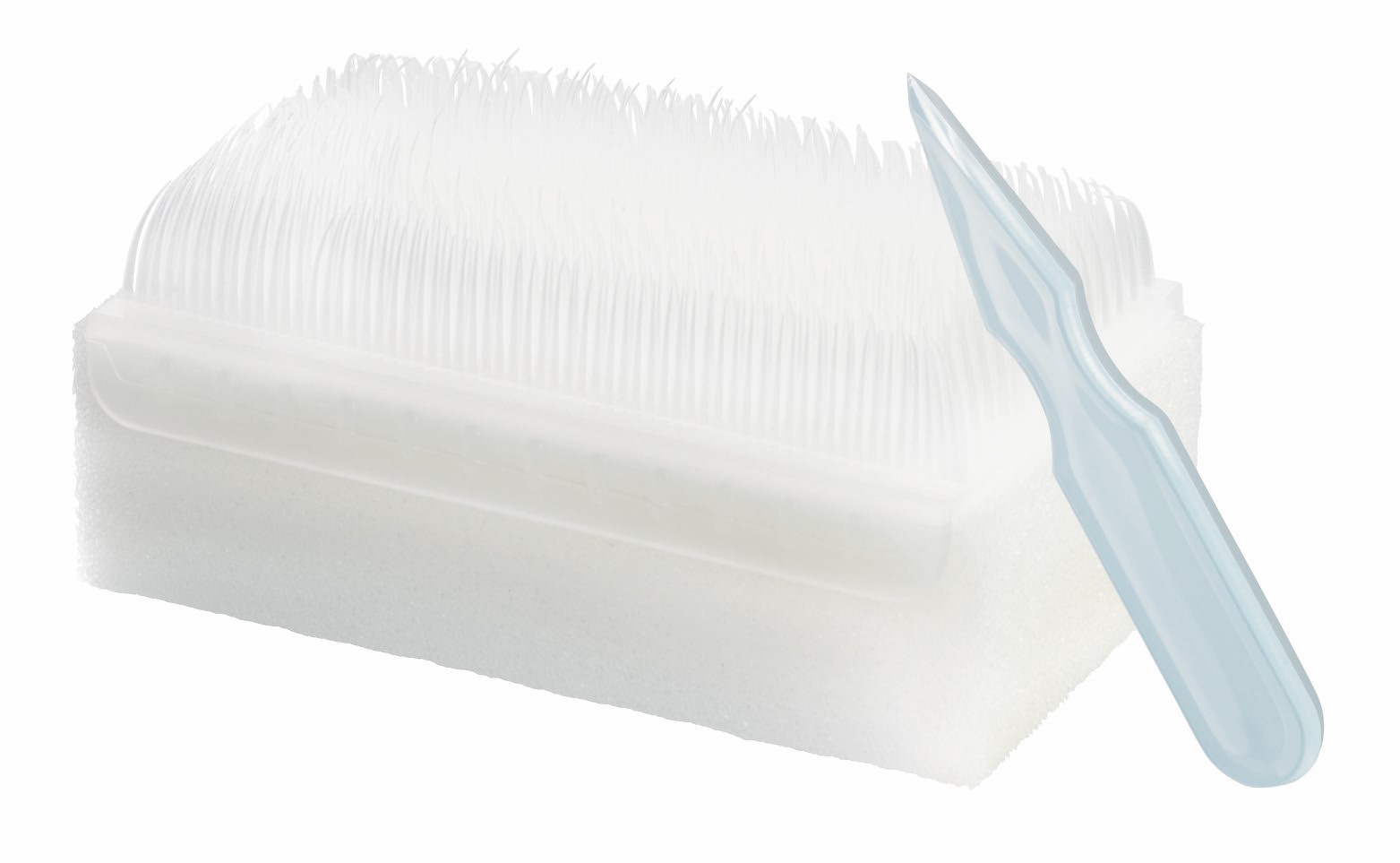 GRIBI brosse à main sèche et nettoyeur d'ongles avec éponge