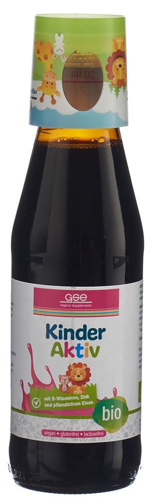 GSE Kinder Aktiv Complex, Bild 2 von 5