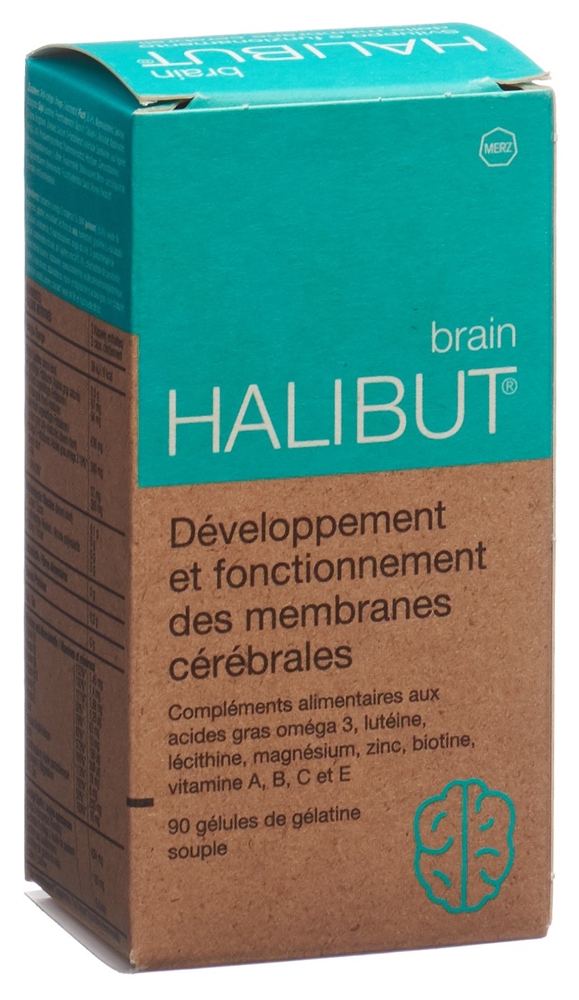 HALIBUT brain, Bild 2 von 3