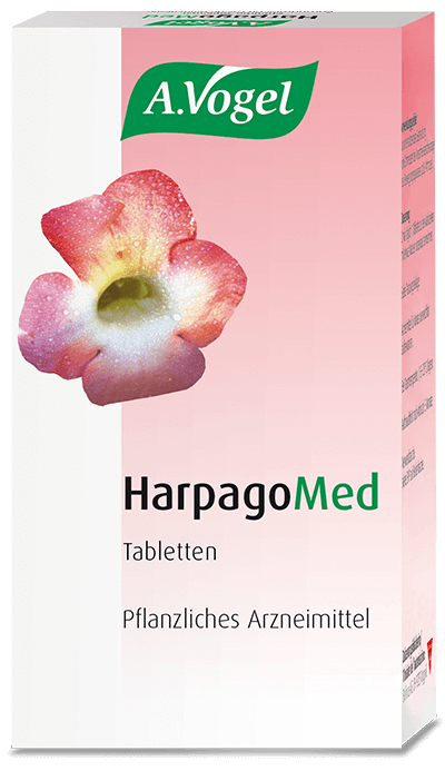 HARPAGOMED Tabl Glas 120 Stk