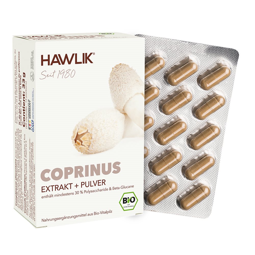 HAWLIK Coprinus Extrait + poudre, image 2 sur 2