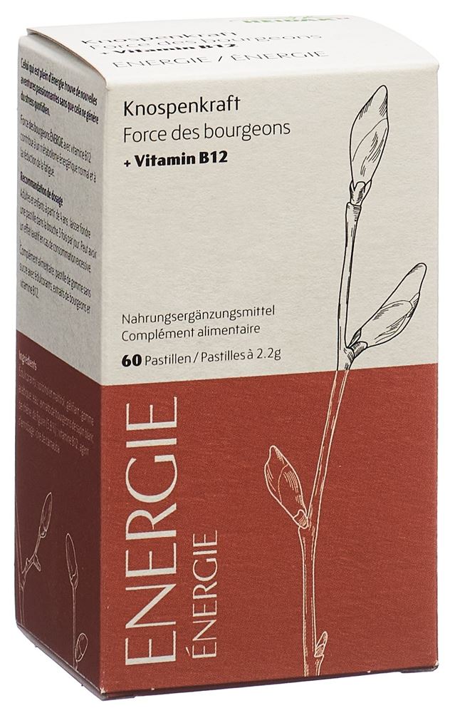 HEIDAK force de bourgeons, image principale