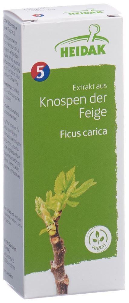 HEIDAK Knospe Feige Ficus carica, Hauptbild