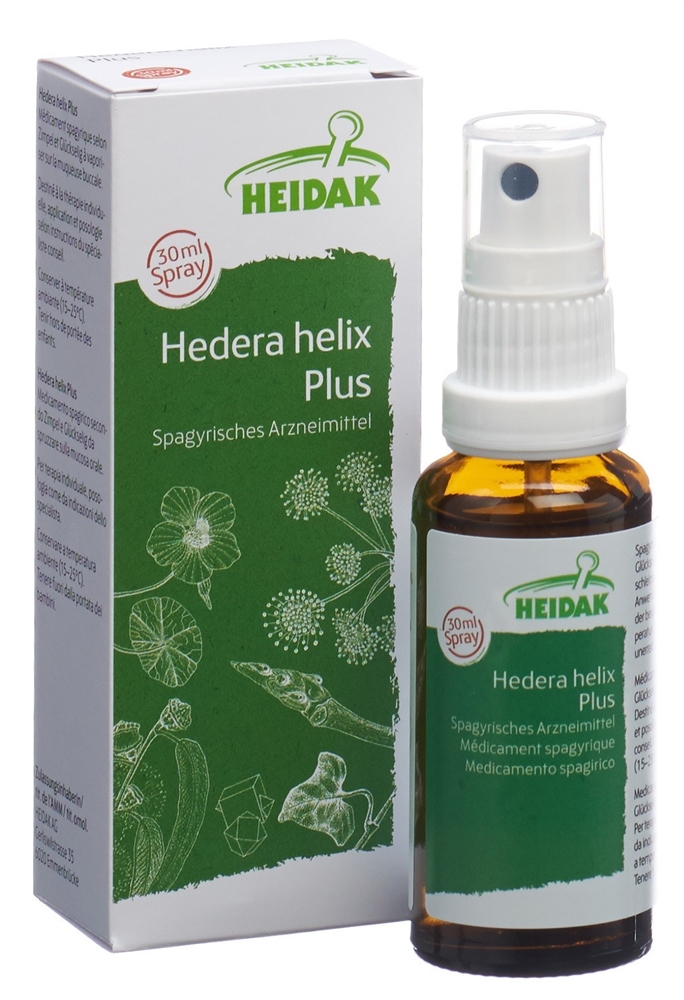 HEIDAK hedera helix plus, image 2 sur 5