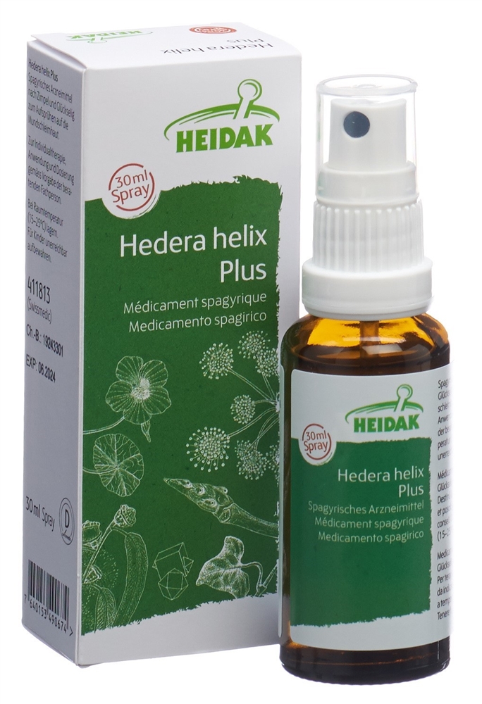 HEIDAK hedera helix plus, image 3 sur 5