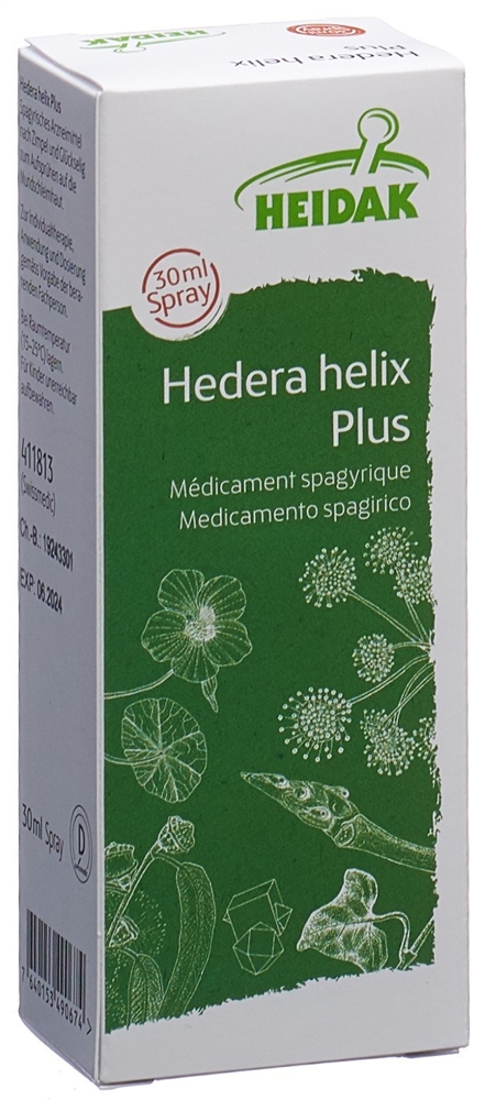 HEIDAK hedera helix plus, image 4 sur 5