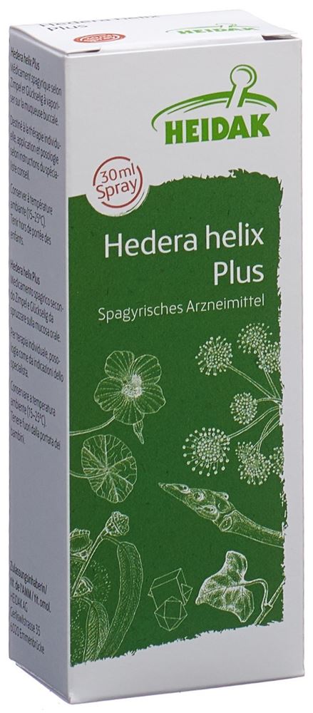 HEIDAK Hedera helix plus, Hauptbild