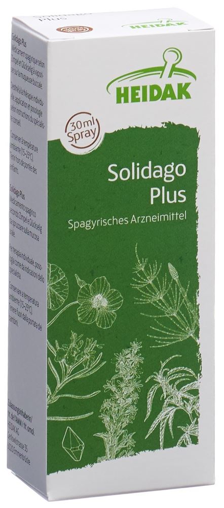 HEIDAK Solidago plus