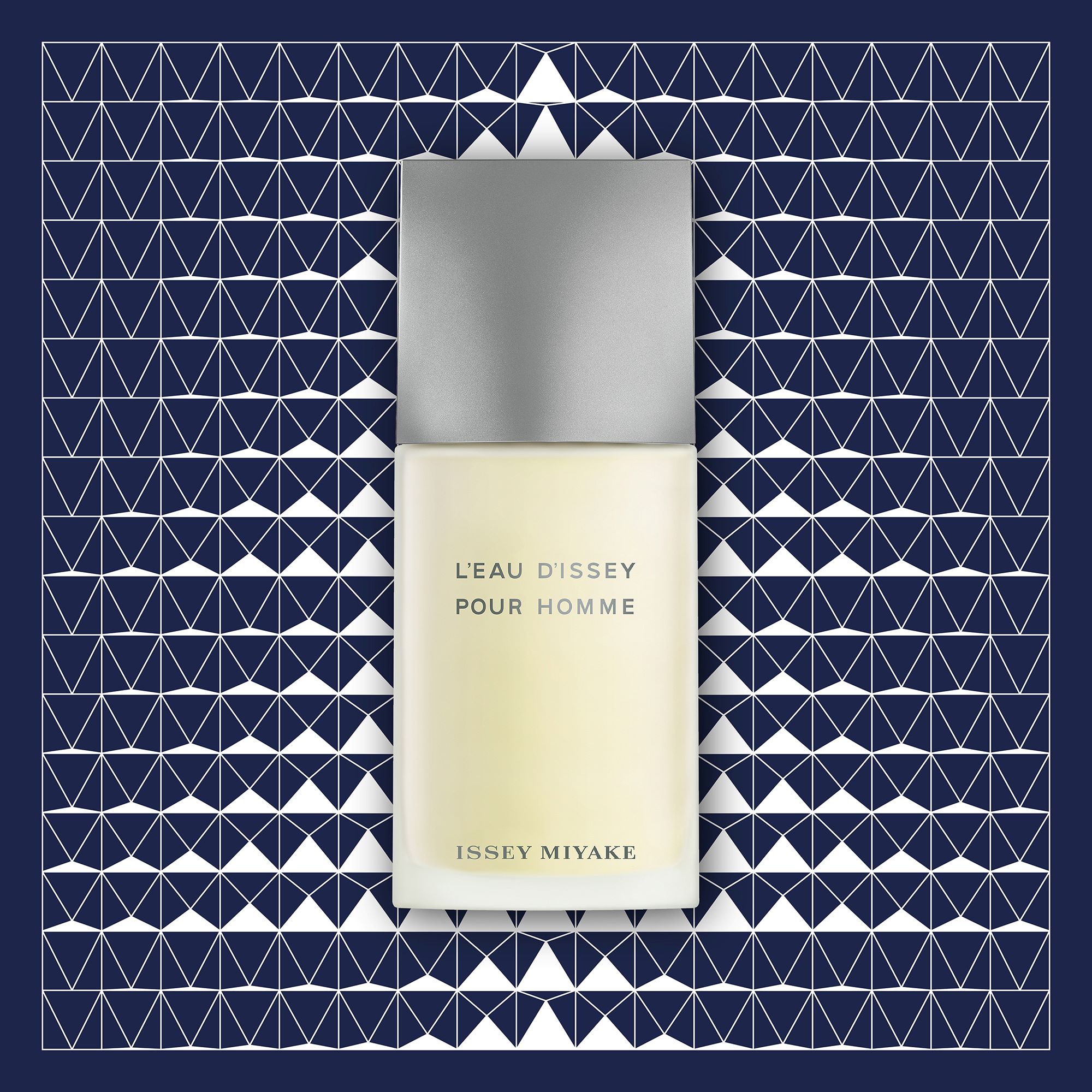 ISSEY MIYAKE L'Eau d'Issey pour Homme Eau de Toilette Xmas Set, image 2 sur 5