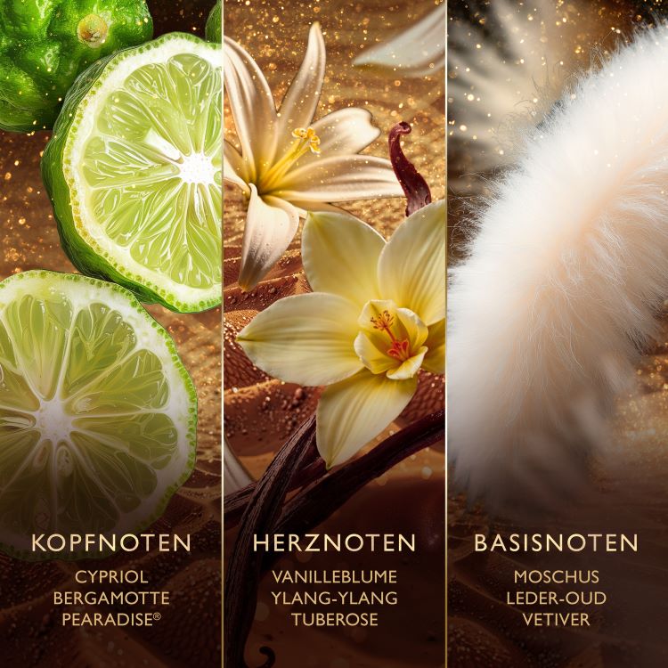 JAWHARA Golden Nectar Eau de Parfum, Bild 3 von 4