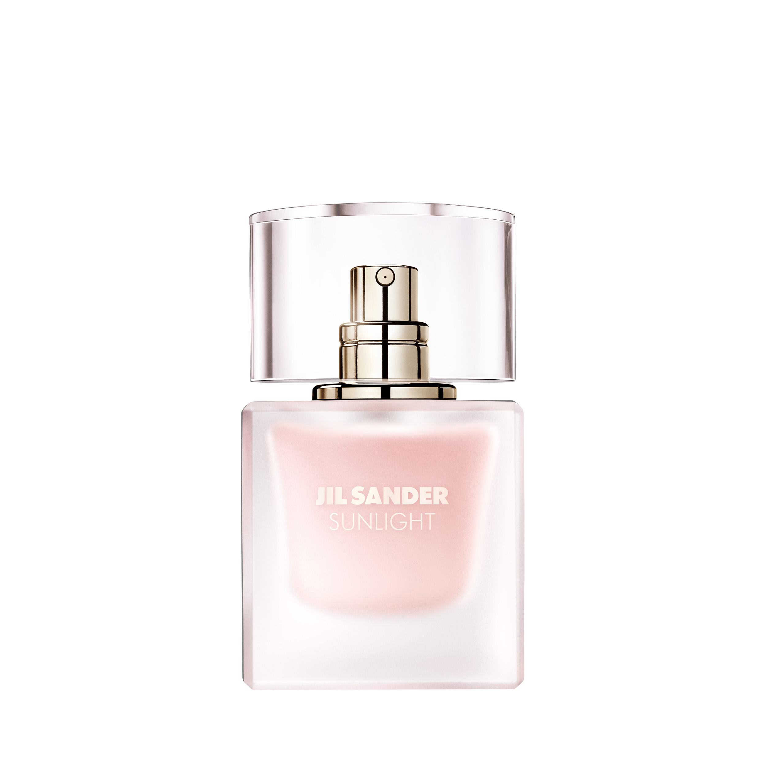 , immagine principale