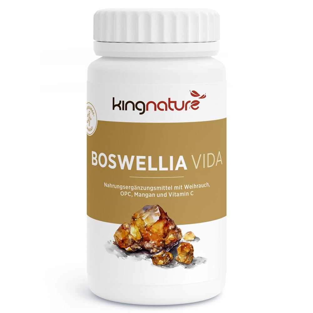 KINGNATURE Boswellia Vida 100 mg