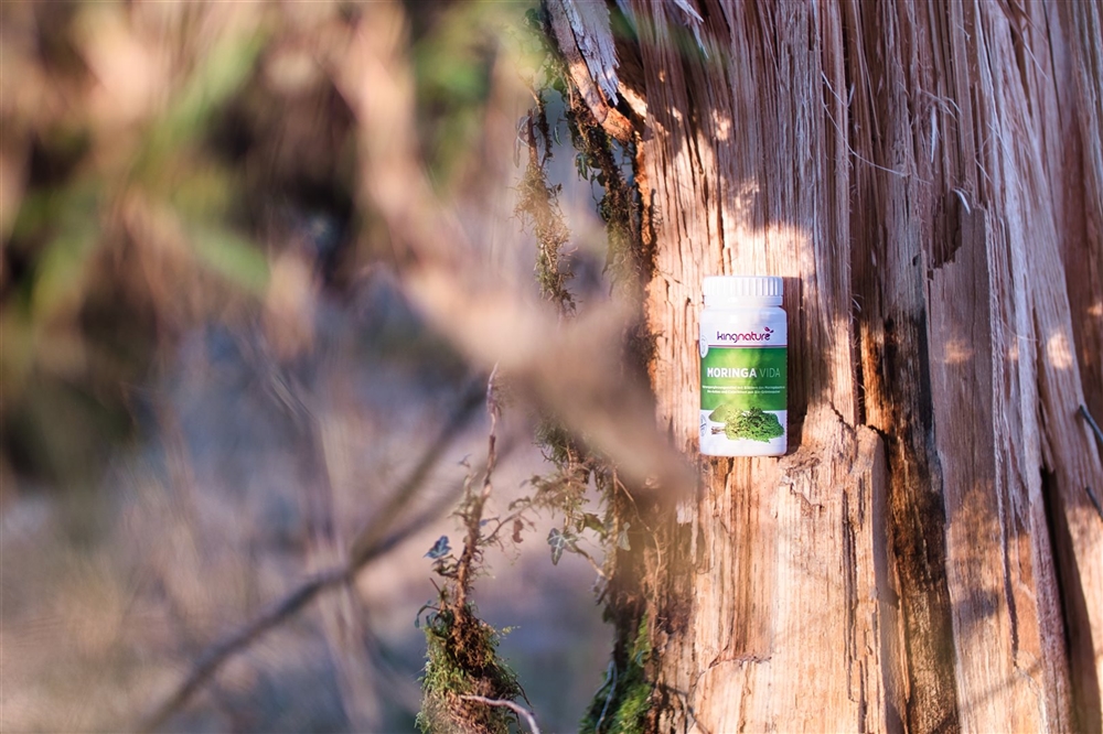 KINGNATURE Moringa Vida, image 2 sur 3