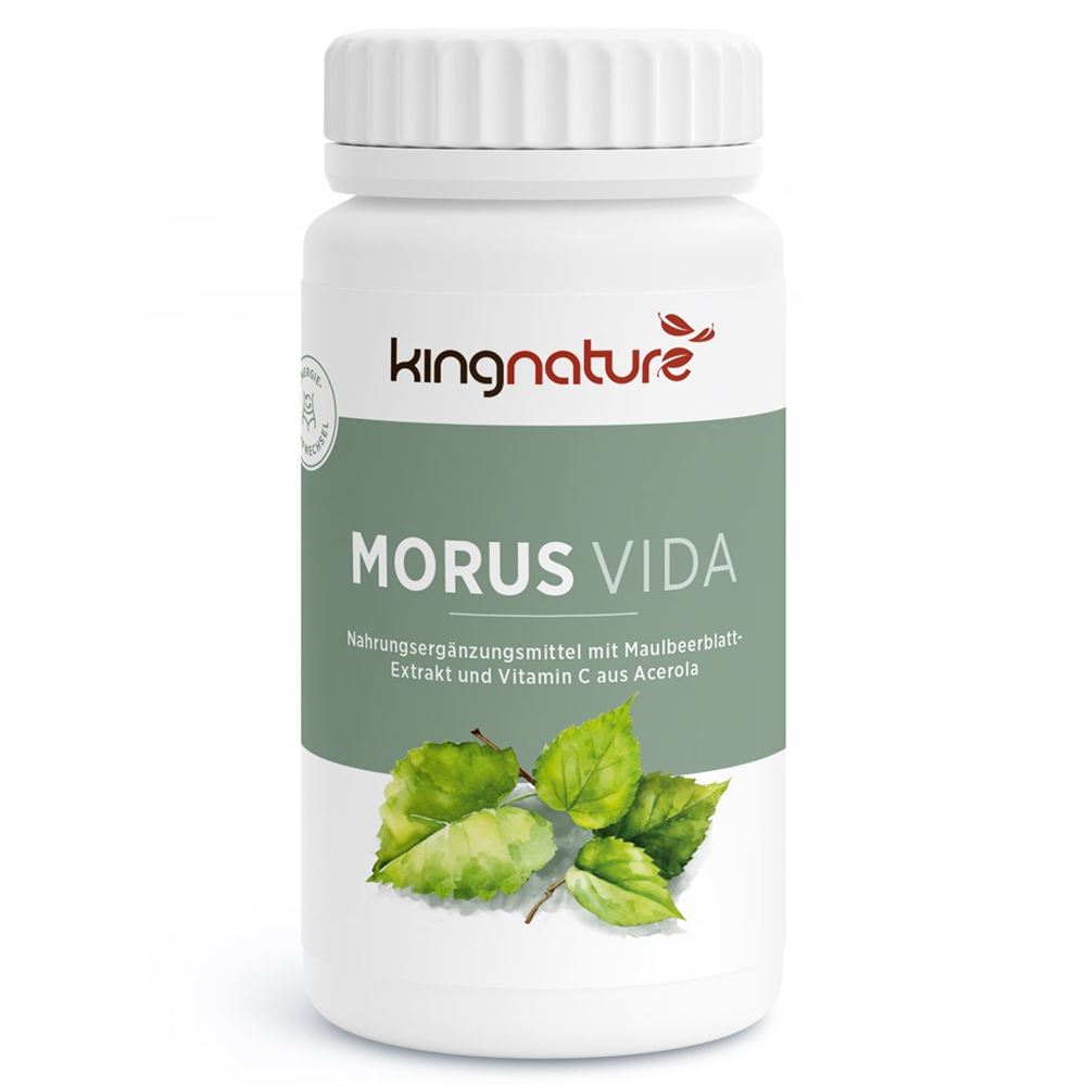 KINGNATURE MORUS Vida, Hauptbild