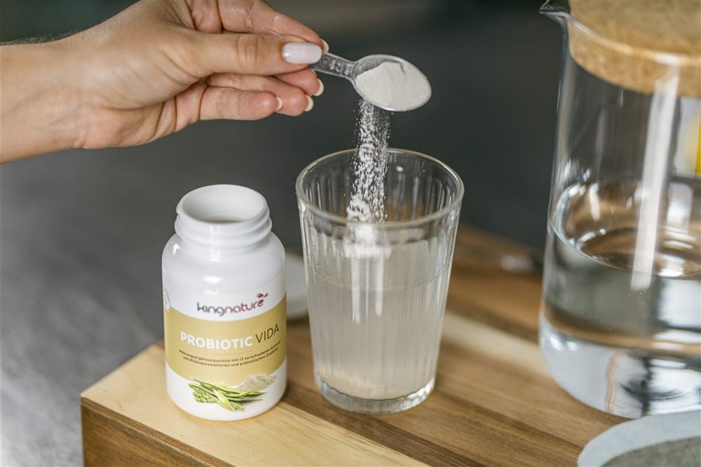KINGNATURE Probiotic Vida, Hauptbild