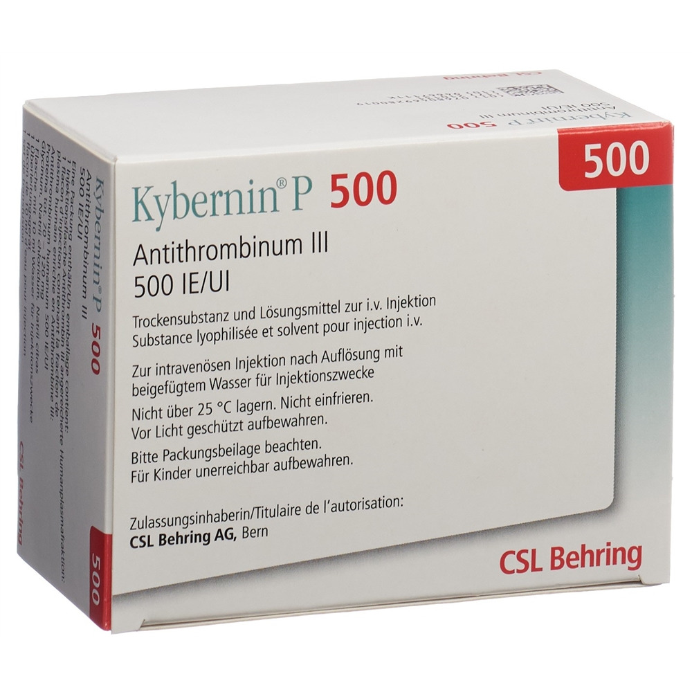 Kybernin P 500 IE, Hauptbild