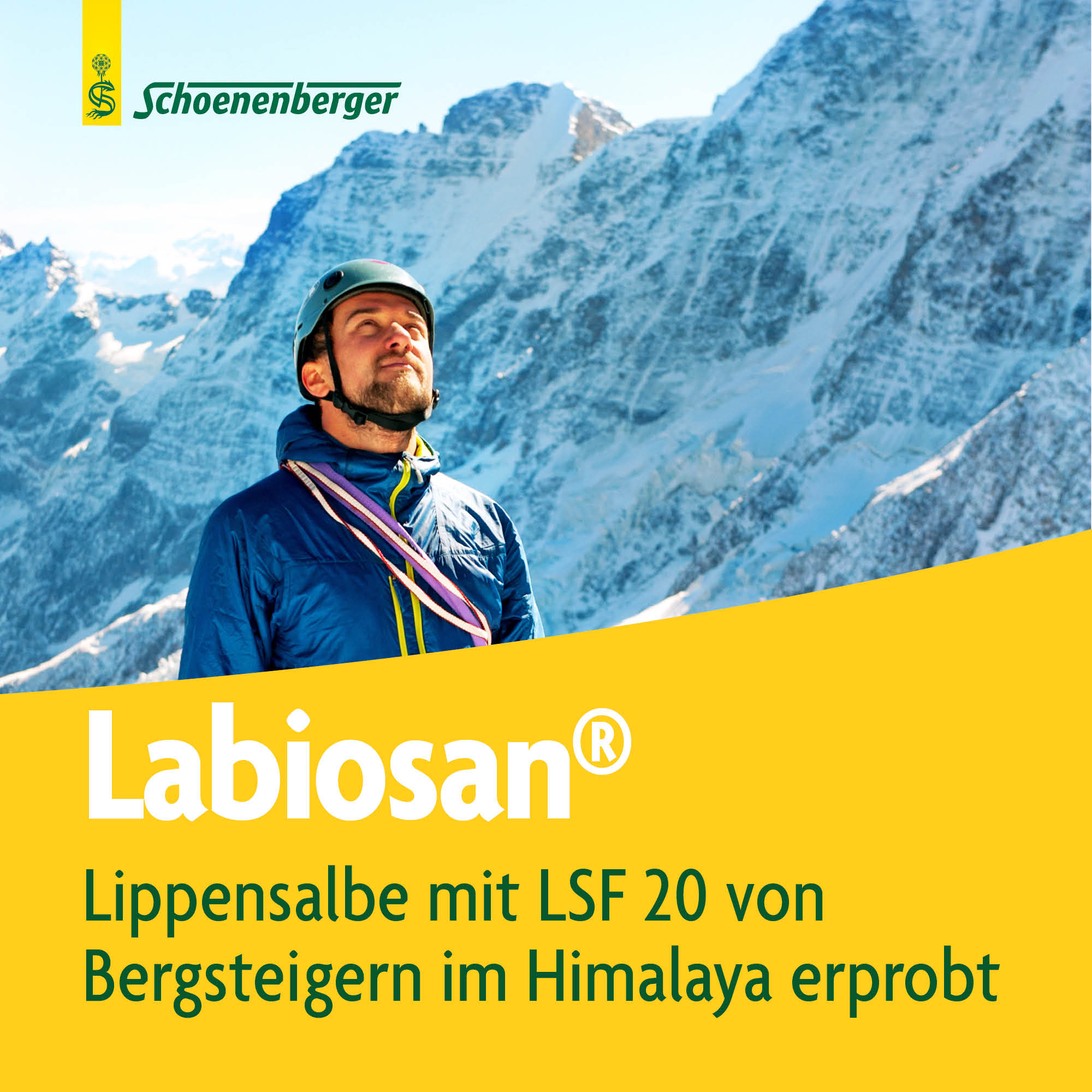 LABIOSAN Lippenschutz Salbe, Bild 2 von 4