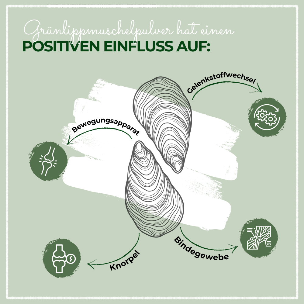 LAPURA Grünlippmuschelpulver, Bild 4 von 4